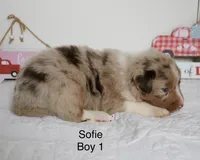 processed/c329914a-06f6-4f98-a0dc-2f897d9d76c4/listing/31bd5a7e-4595-4e27-8731-99a2e832ccc2/1292c6b7-1a50-41ee-bb3e-20ca999356da