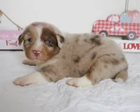 processed/c329914a-06f6-4f98-a0dc-2f897d9d76c4/listing/31bd5a7e-4595-4e27-8731-99a2e832ccc2/206e4310-0588-470d-be34-d28facf5c9a5