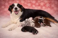 processed/c329914a-06f6-4f98-a0dc-2f897d9d76c4/listing/5143dac5-124a-402a-ba11-cc076504cdac/1accba82-c67d-4b3c-9f16-f11e9a185718