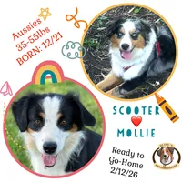 processed/c329914a-06f6-4f98-a0dc-2f897d9d76c4/listing/5143dac5-124a-402a-ba11-cc076504cdac/53bfc4fe-d503-4ec4-b348-c23baf5cf6b9