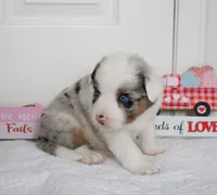 processed/c329914a-06f6-4f98-a0dc-2f897d9d76c4/listing/5143dac5-124a-402a-ba11-cc076504cdac/9946deff-df84-40a4-8c67-b8e3e5a09101