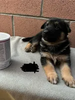 processed/c32ef64a-a85f-46cb-8ef5-eb924a91b16c/facility/60c6ab71-48c4-4dfc-bf88-81bb8891191d