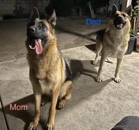 processed/c32ef64a-a85f-46cb-8ef5-eb924a91b16c/facility/b112e461-4336-407c-92cd-0fe576c00eb5