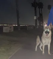 processed/c32ef64a-a85f-46cb-8ef5-eb924a91b16c/facility/e9971c73-4f48-4819-bbeb-df1ca20a7408