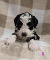 processed/c339282a-eacc-48d4-b4ba-6f24f2fc725c/listing/10216bca-322f-492f-b332-8ea9bda38955/52031780-36a8-4207-9bce-fbccc52b1586