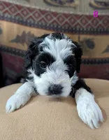 processed/c339282a-eacc-48d4-b4ba-6f24f2fc725c/listing/10216bca-322f-492f-b332-8ea9bda38955/7538837f-4425-45ce-b81b-6dd974a0b7e8