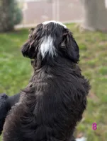 processed/c339282a-eacc-48d4-b4ba-6f24f2fc725c/listing/10216bca-322f-492f-b332-8ea9bda38955/7fb5651d-2dd8-40c0-8672-f1fe94aae066