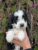 processed/c339282a-eacc-48d4-b4ba-6f24f2fc725c/listing/10216bca-322f-492f-b332-8ea9bda38955/d7c4b7b5-d6b9-4865-b344-59a91aae723f