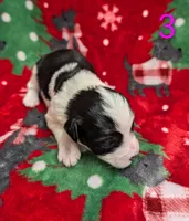 processed/c339282a-eacc-48d4-b4ba-6f24f2fc725c/listing/38984f25-42b3-44f1-9fe2-045b123ad433/0ca8ddff-2002-4f6a-80b8-8dd76694e012