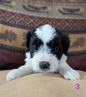 processed/c339282a-eacc-48d4-b4ba-6f24f2fc725c/listing/38984f25-42b3-44f1-9fe2-045b123ad433/31dc6926-4023-4cb8-8100-6dc2cb22fb82