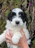 processed/c339282a-eacc-48d4-b4ba-6f24f2fc725c/listing/38984f25-42b3-44f1-9fe2-045b123ad433/83e7c705-5f33-41aa-be73-fa479b0a8994