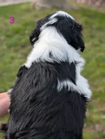 processed/c339282a-eacc-48d4-b4ba-6f24f2fc725c/listing/38984f25-42b3-44f1-9fe2-045b123ad433/a6880f6c-1b4f-4f10-8918-754c1aa8c4c9