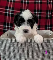 processed/c339282a-eacc-48d4-b4ba-6f24f2fc725c/listing/38984f25-42b3-44f1-9fe2-045b123ad433/adbb5046-88bc-4770-bf14-6962a4d6419f