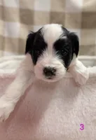 processed/c339282a-eacc-48d4-b4ba-6f24f2fc725c/listing/38984f25-42b3-44f1-9fe2-045b123ad433/f0b38db9-231f-4128-a317-be3a6cb77fb8