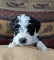 processed/c339282a-eacc-48d4-b4ba-6f24f2fc725c/listing/eaa268c6-298e-41ae-a8c2-290ed49ce3c9/58687940-0e5b-425c-9ecf-40227dd83248