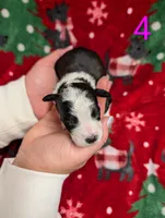 processed/c339282a-eacc-48d4-b4ba-6f24f2fc725c/listing/eaa268c6-298e-41ae-a8c2-290ed49ce3c9/886c9bb6-64be-4533-b76e-cea07ea60d30