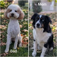 processed/c339282a-eacc-48d4-b4ba-6f24f2fc725c/listing/eaa268c6-298e-41ae-a8c2-290ed49ce3c9/b1d30546-675a-4332-bc46-109dc2963544