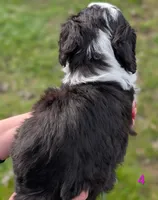 processed/c339282a-eacc-48d4-b4ba-6f24f2fc725c/listing/eaa268c6-298e-41ae-a8c2-290ed49ce3c9/e3b53d70-c18a-45dc-bbd9-fa362fd547aa