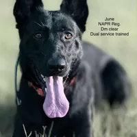 processed/c33f1a90-dda3-41eb-8be4-d282b60df88e/facility/6f77bd24-ee0d-4099-adce-b7a3f57394e2