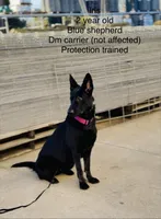 processed/c33f1a90-dda3-41eb-8be4-d282b60df88e/facility/7f5e1996-c317-4049-aace-3380631d0fbf