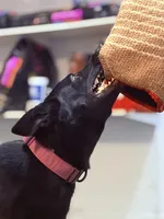 processed/c33f1a90-dda3-41eb-8be4-d282b60df88e/facility/a07b92c3-c78e-4054-be37-5070fa495ee7