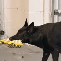 processed/c33f1a90-dda3-41eb-8be4-d282b60df88e/facility/d203bf52-8474-40e5-b22d-96eedc242866