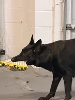 processed/c33f1a90-dda3-41eb-8be4-d282b60df88e/facility/d203bf52-8474-40e5-b22d-96eedc242866