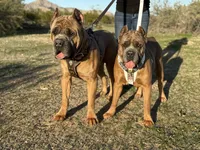 processed/c34a3c32-a217-4e8a-b0a0-99762d039b92/listing/639b970d-5120-4b13-8be6-10d9d6d9a3ef/4c526e02-800d-496b-8065-2c486aabc50f