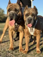 processed/c34a3c32-a217-4e8a-b0a0-99762d039b92/listing/cfd1c378-3205-472e-8ebe-f9961ba56313/bd015c1e-de31-4e9b-8d5f-bc775fa5995c