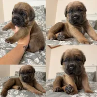 processed/c34a3c32-a217-4e8a-b0a0-99762d039b92/listing/f0f66f25-4e36-4f8a-b40f-1e0848fc2f35/58ce4c5d-093a-4eee-b4ef-01ed4f9e30ca