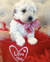 processed/c3579e5c-1be0-45ec-bfdc-07012a134b68/listing/87d7d6be-99f1-49d7-a6af-74b6bb6edef5/37ba11d7-10b7-41c7-95c6-33181dd6f0aa