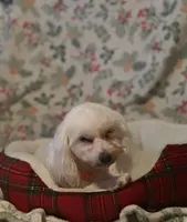 processed/c35f6a38-ea41-4b97-a982-13cf0cd312ce/listing/1e541c0e-963b-4191-a237-0b419d786063/5e3c576a-41b4-44e9-afe0-f9250341e3fd