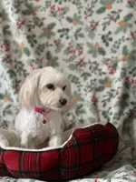 processed/c35f6a38-ea41-4b97-a982-13cf0cd312ce/listing/bf54c4b4-caab-4b45-927a-84a15fb1f594/3606db97-d42c-4fd7-92bb-8fa3bc73876c