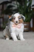 processed/c36d7ab3-5dda-4966-9878-a4d300f58a54/listing/21a9406a-44ab-4222-be4e-b18912638ba2/6d877ce1-ac43-45dc-b293-d6bec7038f96