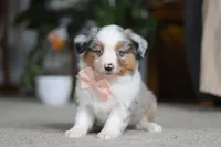 processed/c36d7ab3-5dda-4966-9878-a4d300f58a54/listing/21a9406a-44ab-4222-be4e-b18912638ba2/b38c9a67-646c-4837-80a4-8b4faf5c10d2