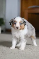 processed/c36d7ab3-5dda-4966-9878-a4d300f58a54/listing/21a9406a-44ab-4222-be4e-b18912638ba2/d5029e9d-2e80-4938-8ca5-e6a4e2fdd3d8