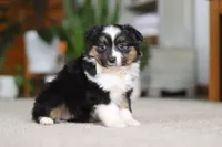 processed/c36d7ab3-5dda-4966-9878-a4d300f58a54/listing/7873c76a-d28d-49c0-ab0f-0c87bf5597a3/0afe3f0f-7eb0-4d6e-92f2-052ff66f9014