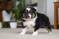 processed/c36d7ab3-5dda-4966-9878-a4d300f58a54/listing/7873c76a-d28d-49c0-ab0f-0c87bf5597a3/5755455a-48d5-4c7a-beae-a18309b94e51