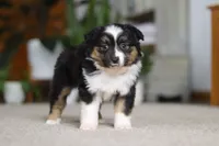 processed/c36d7ab3-5dda-4966-9878-a4d300f58a54/listing/7873c76a-d28d-49c0-ab0f-0c87bf5597a3/91820b36-7598-4e92-b789-c01ea0033615