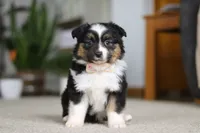 processed/c36d7ab3-5dda-4966-9878-a4d300f58a54/listing/7873c76a-d28d-49c0-ab0f-0c87bf5597a3/9da380ee-60c4-4a84-af4a-673545abf248