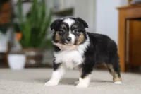 processed/c36d7ab3-5dda-4966-9878-a4d300f58a54/listing/7873c76a-d28d-49c0-ab0f-0c87bf5597a3/f5838728-8928-4f90-8e62-099cd2da5947