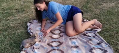 Teacup -McLaren, a male Maltipoo for sale in Weatherford, TX – 4 of 4