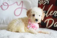 processed/c3792153-3353-4e86-af74-fb614b78d8b9/listing/18569fa2-5fe2-4fe5-b8d3-dfbd441ac760/18093931-2114-4650-b8c3-ee47aeea4720