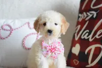 processed/c3792153-3353-4e86-af74-fb614b78d8b9/listing/18569fa2-5fe2-4fe5-b8d3-dfbd441ac760/7a26c46d-55d9-4a4d-9edf-7b348abb33eb