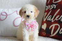 processed/c3792153-3353-4e86-af74-fb614b78d8b9/listing/18569fa2-5fe2-4fe5-b8d3-dfbd441ac760/85edb8a4-ccf4-47ea-8625-b38fbb4f344d