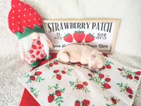 Peach, a female Golden Retriever for sale in Coleman, TX – 4 of 4