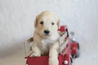 processed/c3792153-3353-4e86-af74-fb614b78d8b9/listing/24eb933f-bc35-403f-928c-0b30231ea77b/13e9879c-882d-4885-915e-5049985501df