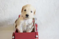 processed/c3792153-3353-4e86-af74-fb614b78d8b9/listing/24eb933f-bc35-403f-928c-0b30231ea77b/33f7c1b0-b45b-46f5-92c0-d8a0bdf3919c