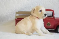 processed/c3792153-3353-4e86-af74-fb614b78d8b9/listing/24eb933f-bc35-403f-928c-0b30231ea77b/55f1f5d3-9138-4cf8-971d-f3a0b7eab99d