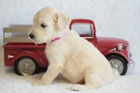 processed/c3792153-3353-4e86-af74-fb614b78d8b9/listing/24eb933f-bc35-403f-928c-0b30231ea77b/5767e988-4d7b-445c-b535-196cdf83b95b